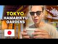 Shocked by the tokyo hamarikyu gardens  matcha tea house