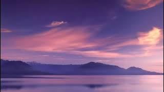 Plain White T's - Hey There Delilah Lyrics