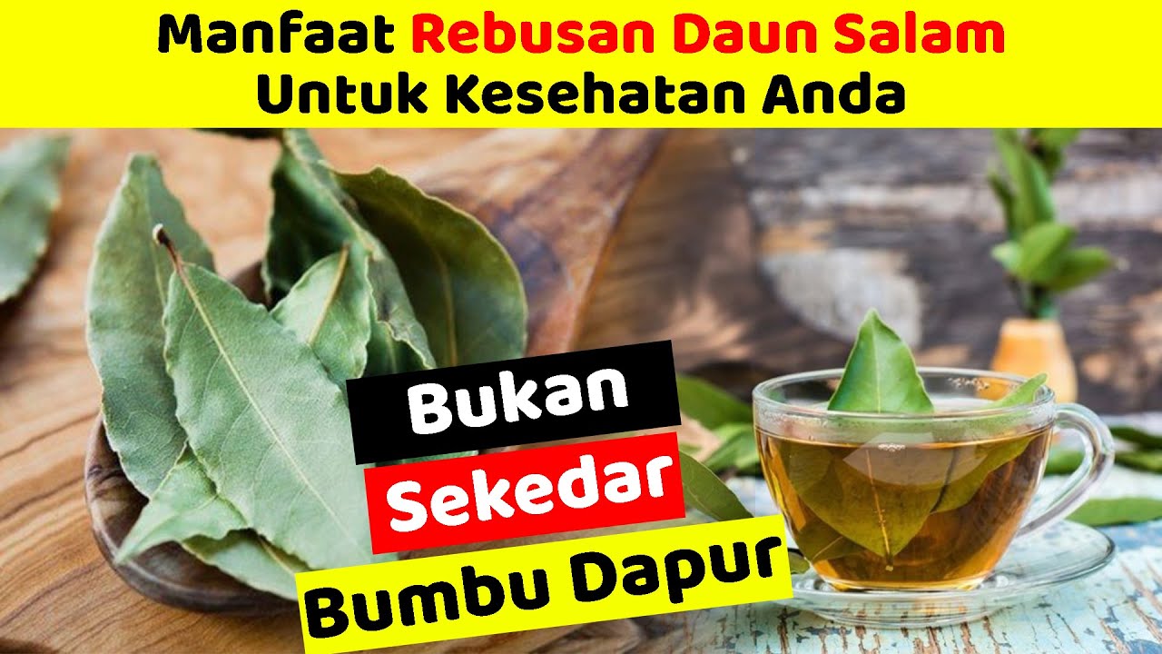 Ini Manfaat Daun Salam Jika Direbus dan Diminum Tiap Hari || Mampu