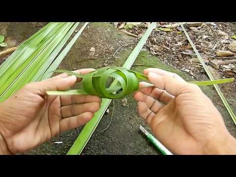 How To Make (bikin) Woven Coconut Leaves For The Holidays
