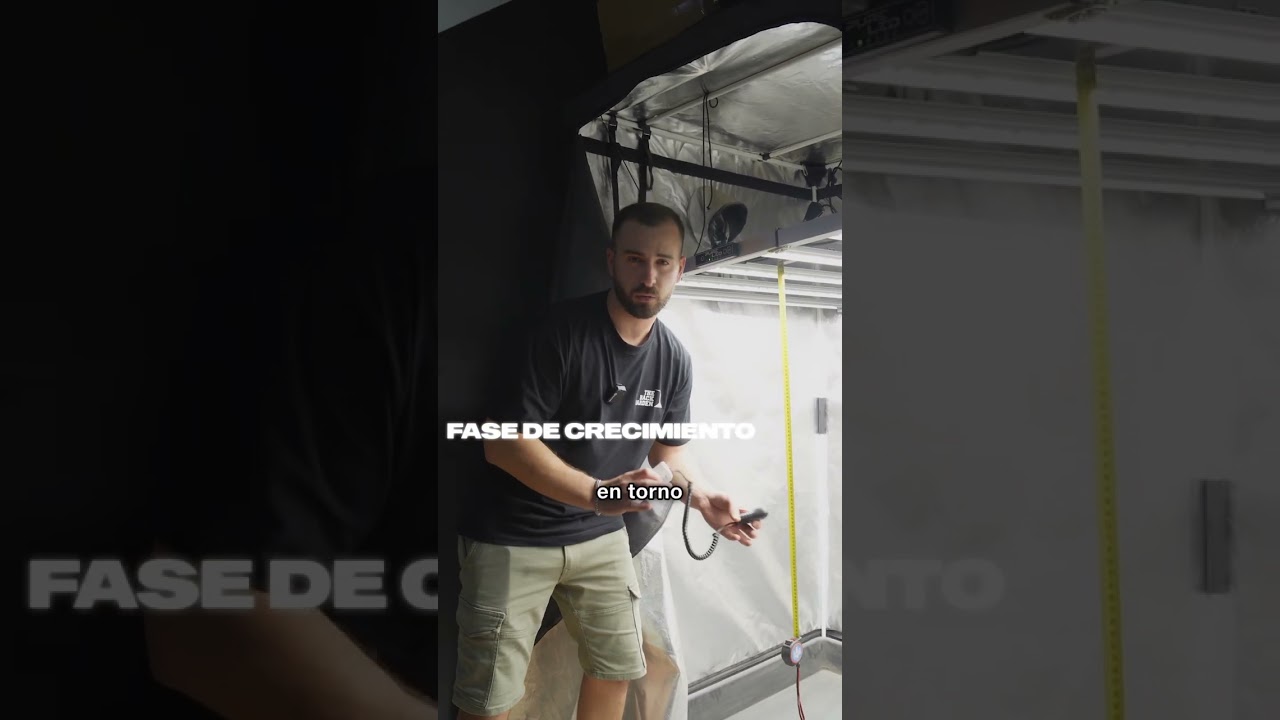 ¿A qué altura poner tus LED? 🔦📏