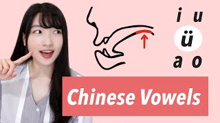 Master Chinese Vowels - 