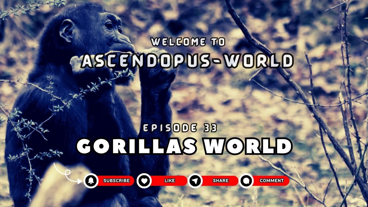 Episode 33: Creatures of Earth  I Gorillas World I