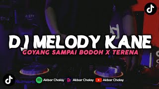 DJ MELODY GOYANG SAMPAI BODOH X TERENA MENGKANE VIRAL TIKTOK