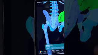 🚀 Крутой 3D атлас по анатомии в приложении Easy Anatomy 3D