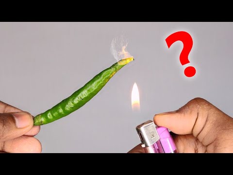 5 Easy and Super Cool Science Experiments | Chemistry Magic For School
