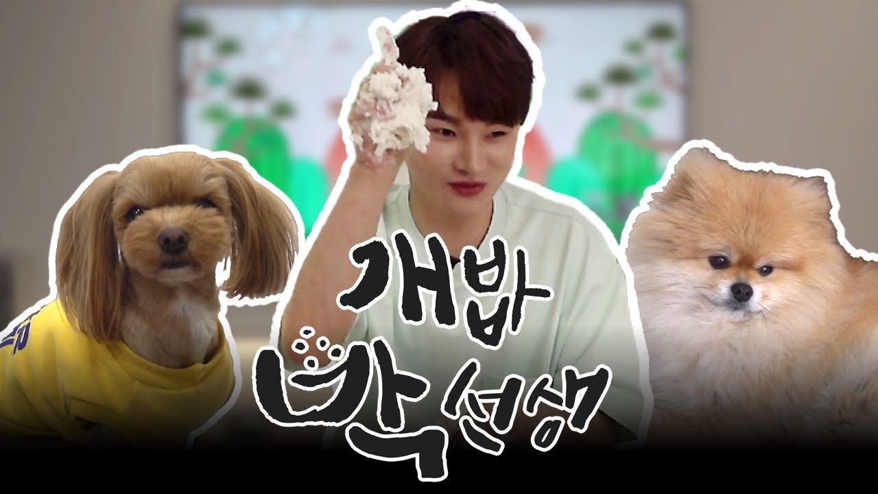 모든 음식을 개밥처럼ㅣ박서진의 '개밥 박선생' EP.01