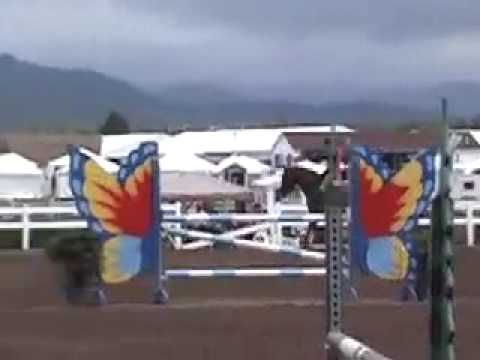 Zazou Hoffman USEF Talent Search Lake Placid Horse...