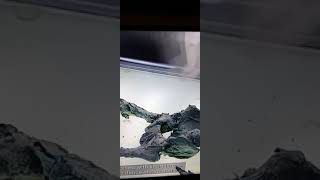 Homer Simpson Easter Egg In Tv Show Bones Lol