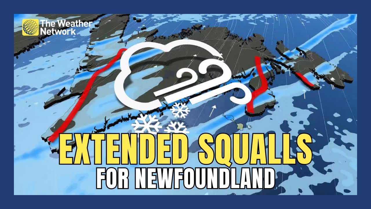 Newfoundland Snow Squalls Threaten Hazardous Travel Conditions - YouTube