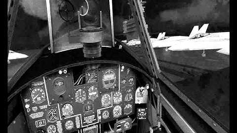 P-47 Razorback A2A Flight.