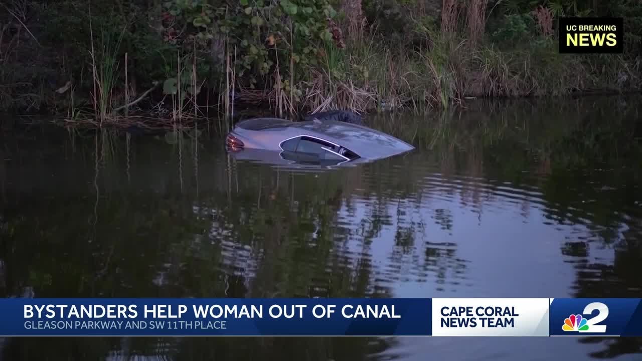 Quick-thinking neighbors rescue driver after car plunges into Cape ...