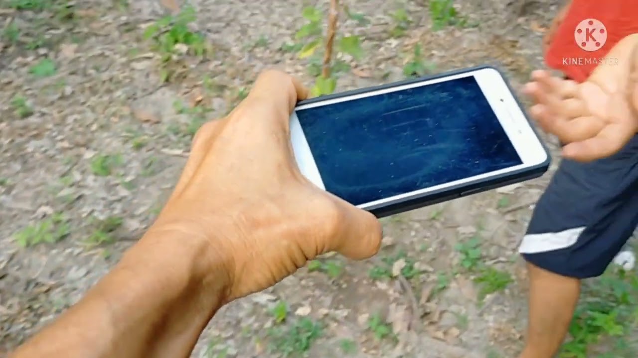 ตอนโรคเพลี้ยไฟในองุ่น