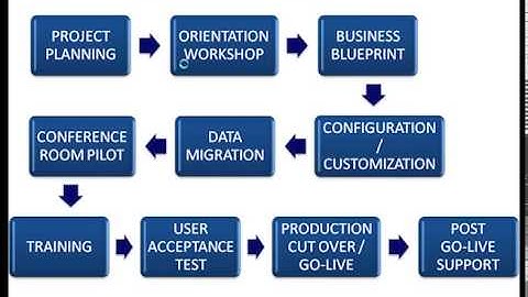 ERP Program Mgmt Post Implementation Audit