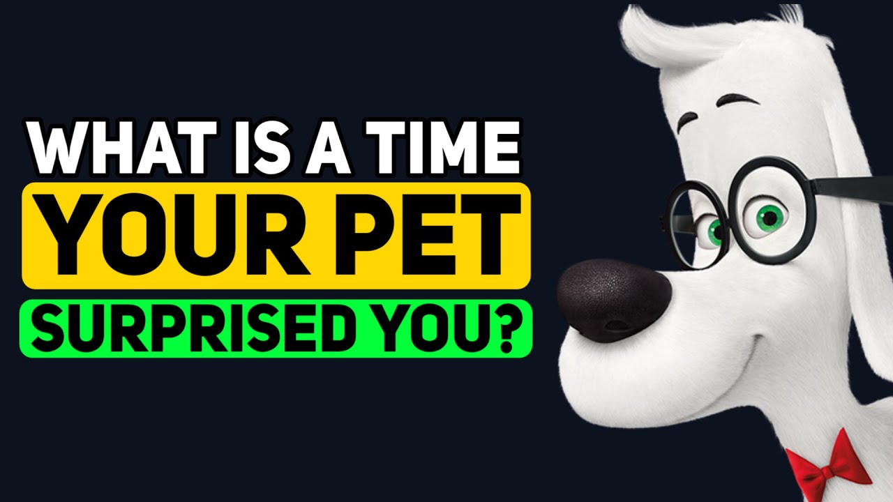 What is a time your pet has GENUENILY surprised you? - Reddit Podcast
