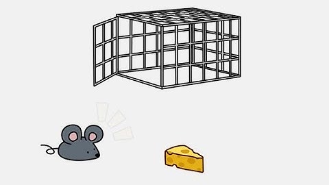 Brain Out 2 Level 6 Put the mouse in a cage! Walkthrough Solution