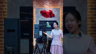 Nhỏ mà có võ  4Acoustic PCS 205 huỷ diệt phân khúc!
