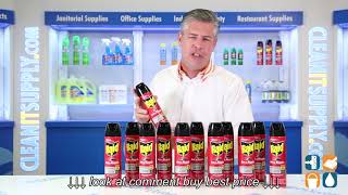 Raid Ant & Roach Killer Spray, 12 Cans