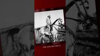 Şivan Perwer - Tirba Min Çê Kin Li Kurdistanê