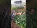 Part 1 of Trying to go D1 #highschoolsports #running