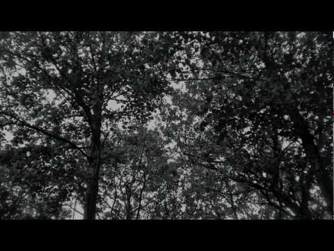 Sullen Skies - Original Song