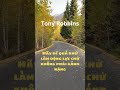 Top Những Câu Nói Truyền Cảm Hứng của tonyrobbins bạn Không Thể Bỏ Lỡ #tonyrobbins