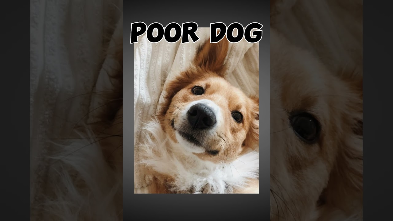 I met AminOnPC but only got into...