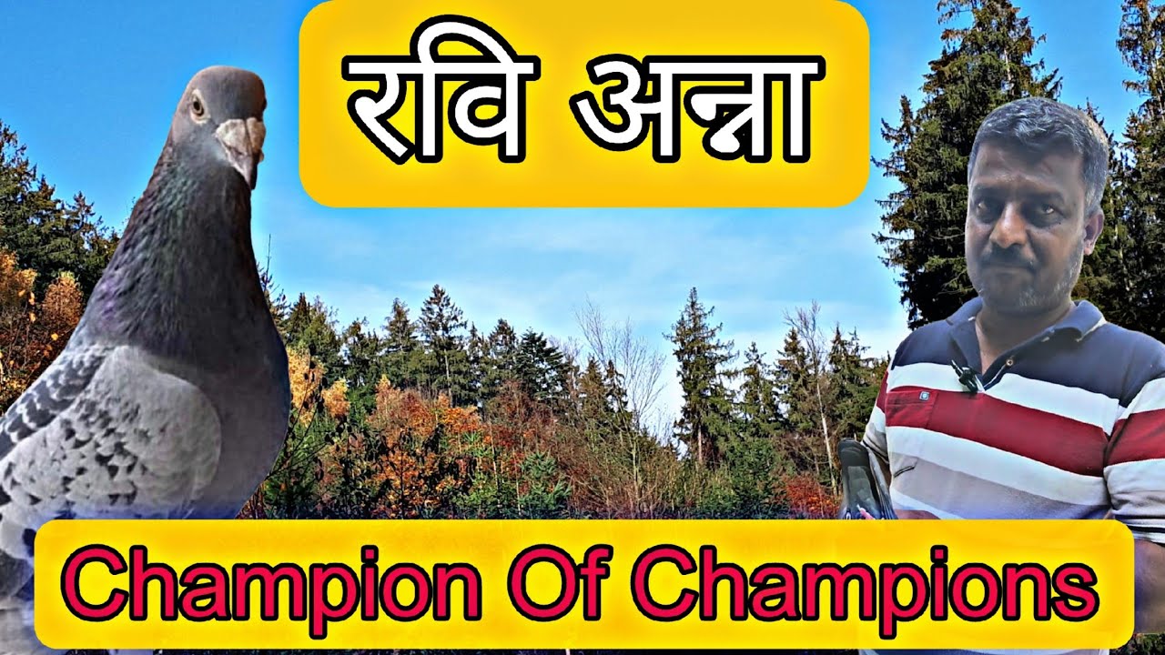 An Interview With Ravi Anna Champion Of Champions