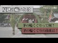 「夏越しの祓い」に行きましょう！【やまとしぐさお稽古】