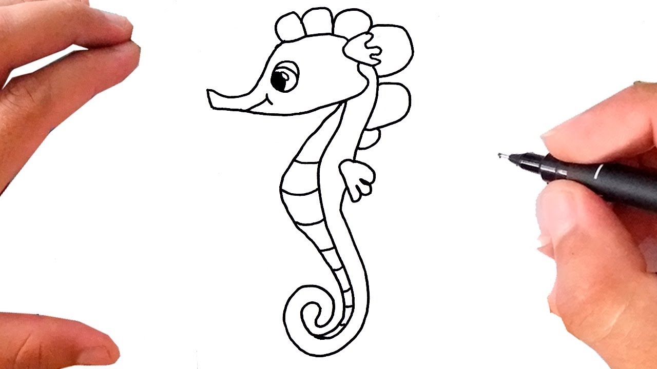 Como Desenhar um CAVALO-MARINHO, how to draw a seahorse