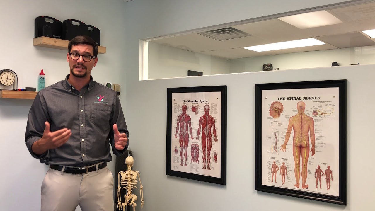 Chiropractic Care | What to Expect | Second Appointment | Bomberg Chiropractic | New Hope MN