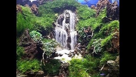 Beautiful underwater waterfall 6