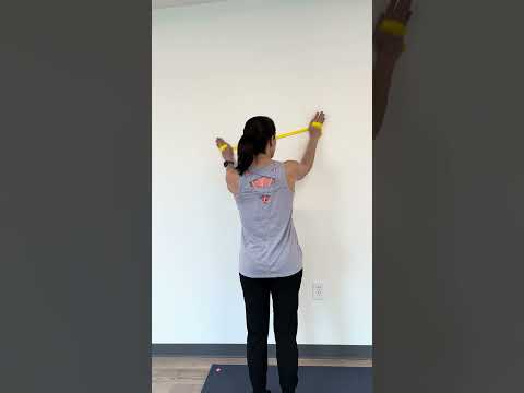 Serratus Wall Walk home exercise demonstrated by Charlotte Physical Therapist