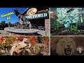 160000 sq ft   bass pro shop  cabelas in glendale az sporting goods  outdoor store