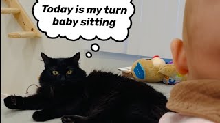 What happens when cat baby sits #cat #baby #cute #funny #lol #vlog by Ellie and Kola 464 views 2 months ago 1 minute, 4 seconds