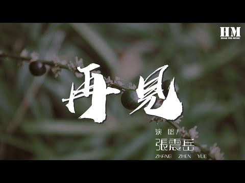張震嶽 - 再見『我會牢牢記住你的臉』【動態歌詞Lyrics】
