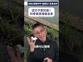 這分子能抗癌？科學家直接做出來