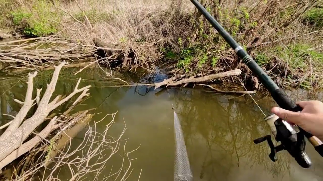 Кормушка с сеткой. Рыбачу в горах Татарстана