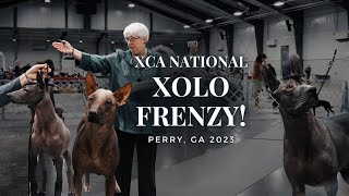 Xolo National 2023 Perry, GA