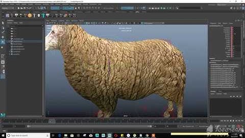 quadruped sheep walk cycle in maya part 02