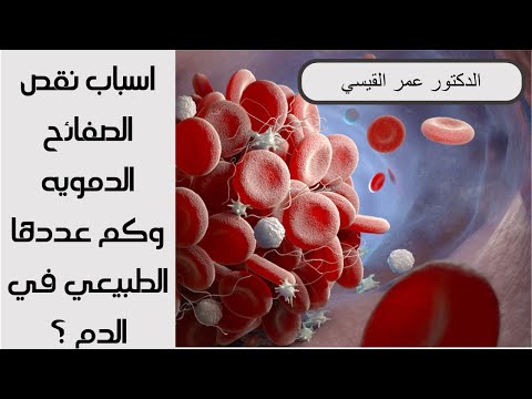 اسباب نقص الصفائح الدمويه وكم عددها الطبيعي في الدم ؟ - من محاضرة قله الصفائح الدمويه Part 2