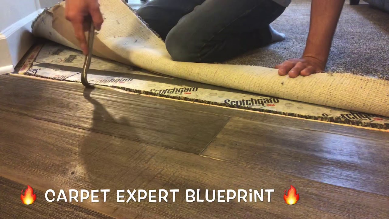 💥 Carpet To Hardwood 💥 💩 Flooring Transitions 💩 YouTube