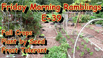 My Fall Garden is In! (Mostly) and Cool Crop Tips & Varieties to Plant: FM Gardening Ramblings E-39