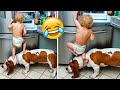 Funniest Dogs And Cats 😸 -  Aww So Cute And Funny Animal Videos 🐶