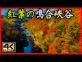 紅葉の鳴合峡谷 (宮城県仙台市) <絶景ドローン空撮 4K高画質> Japanese landscap