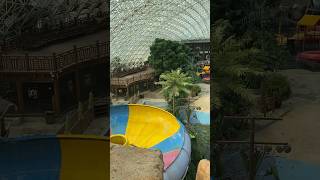 🦩🏝️Exploring an abandoned tropical pool #abandoned #urbex #lostplace