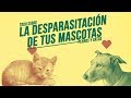 Protege a tu gato y tu perro de #parásitos 🐱🐶👾 | ¿Cuál es el mejor método antiparasitario?