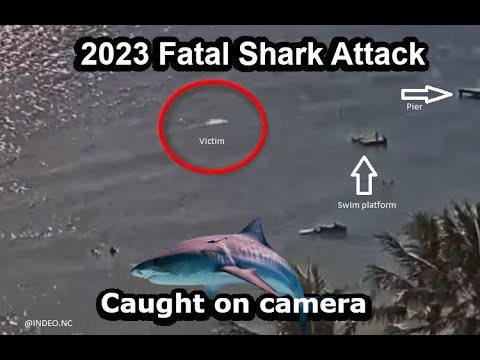 Fatal Shark Attack Caught on Camera. Australian attacked in New Caledonia.
