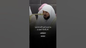 یَـٰۤأَیُّهَا ٱلَّذِینَ ءَامَنُوا۟ |ماتيسر من سورة المائدة |فضيله الشيخ ماهر المعيقلي |صلاة التراويح