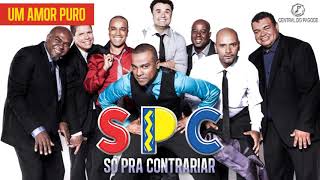 Video thumbnail of "(SPC) Só Pra Contrariar - Um Amor Puro"